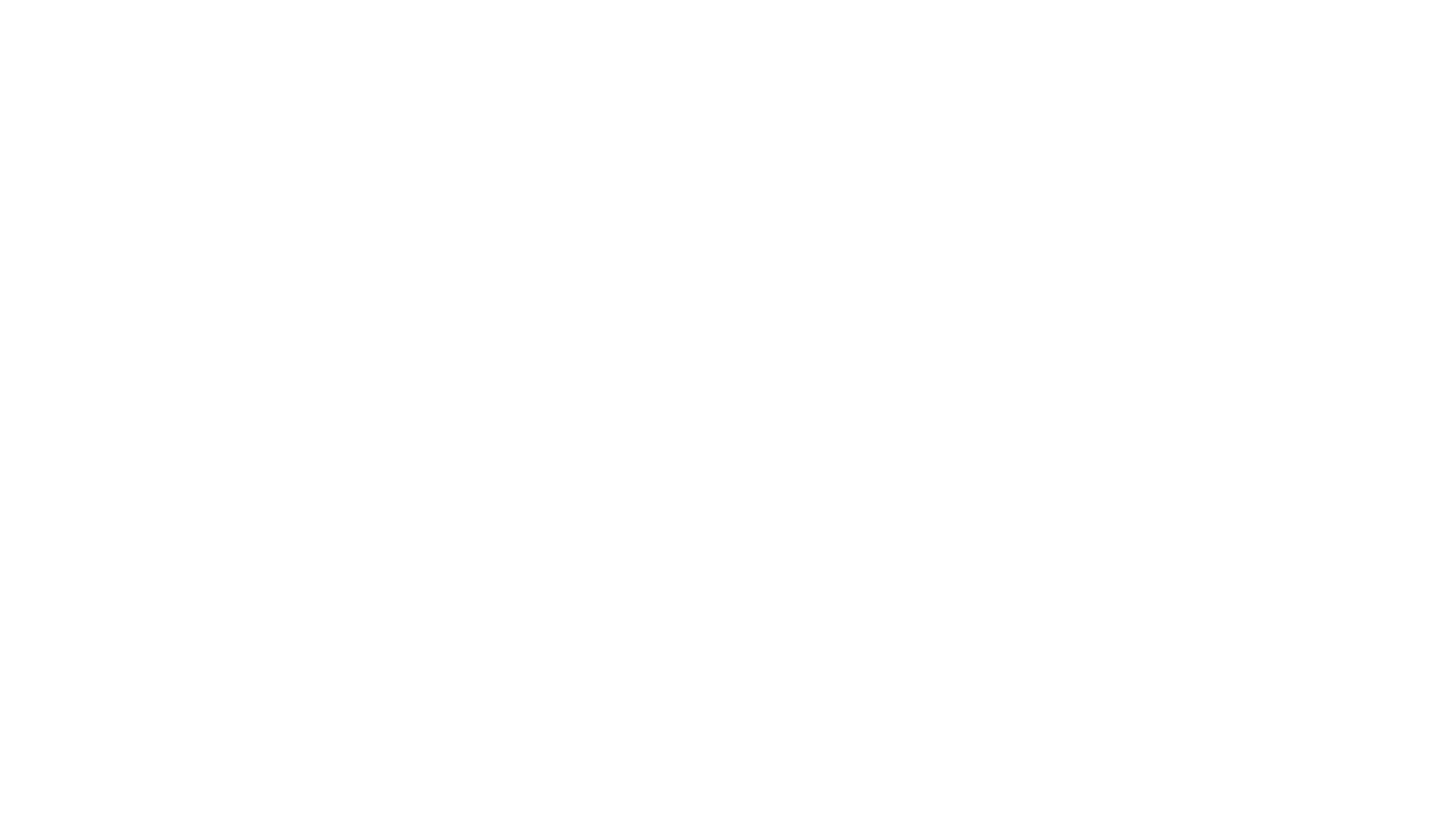 SENMC logo white